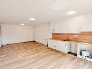 Pronájem bytu 1+1, Liberec - Liberec IV-Perštýn, U Krematoria, 65 m2