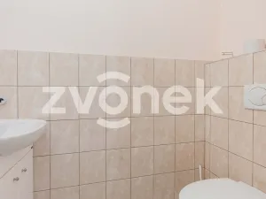 Prodej rodinného domu, Zlín, Hornomlýnská, 218 m2