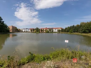 Prodej bytu 3+1, Hranice - Hranice I-Město, Nová, 71 m2