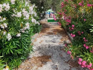 Prodej rodinného domu, Supetar, Chorvatsko, 300 m2