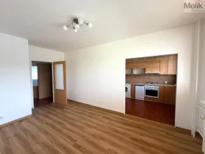 Pronájem bytu 3+1, Most, U Stadionu, 55 m2