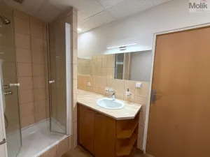 Pronájem bytu 3+1, Most, U Stadionu, 55 m2