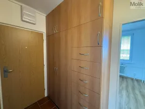 Pronájem bytu 3+1, Most, U Stadionu, 55 m2