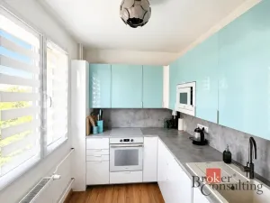 Prodej bytu 3+1, Plzeň - Lobzy, Partyzánská, 65 m2