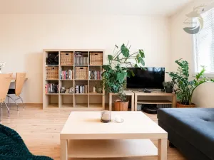 Prodej bytu 3+1, Plzeň, Dlouhá, 76 m2