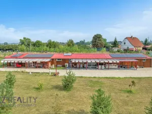 Prodej komerčního pozemku, Pečky, 35798 m2