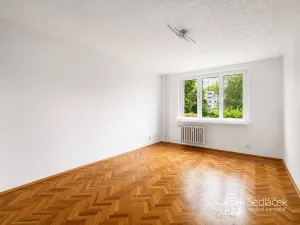 Pronájem bytu 2+1, Chodov, Palackého, 60 m2
