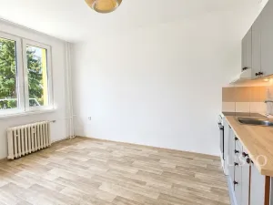 Pronájem bytu 1+kk, Písek - Budějovické Předměstí, 17. listopadu, 19 m2