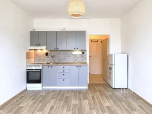 Pronájem bytu 1+kk, Písek - Budějovické Předměstí, 17. listopadu, 19 m2