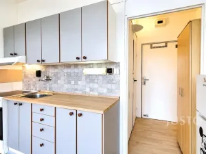Pronájem bytu 1+kk, Písek - Budějovické Předměstí, 17. listopadu, 19 m2