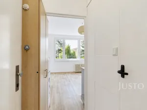 Pronájem bytu 1+kk, Písek - Budějovické Předměstí, 17. listopadu, 19 m2