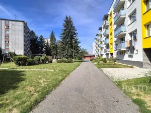 Pronájem bytu 1+kk, Písek - Budějovické Předměstí, 17. listopadu, 19 m2