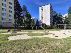Pronájem bytu 1+kk, Písek - Budějovické Předměstí, 17. listopadu, 19 m2