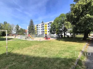 Pronájem bytu 1+kk, Písek - Budějovické Předměstí, 17. listopadu, 19 m2