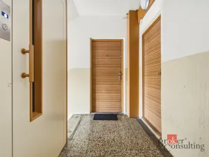 Prodej bytu 2+1, Hradec Králové - Moravské Předměstí, Štefánikova, 62 m2