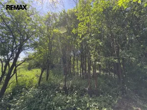 Prodej pozemku pro bydlení, Dolní Třebonín, 887 m2