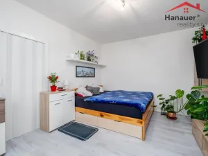 Prodej bytu 1+1, Ústí nad Labem - Mojžíř, Peškova, 37 m2