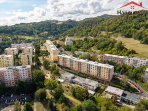 Prodej bytu 1+1, Ústí nad Labem - Mojžíř, Peškova, 37 m2