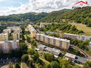 Prodej bytu 1+1, Ústí nad Labem - Mojžíř, Peškova, 37 m2