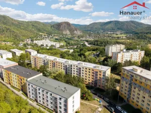 Prodej bytu 1+1, Ústí nad Labem - Mojžíř, Peškova, 37 m2