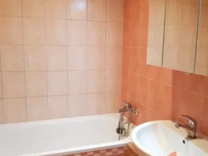 Pronájem bytu 2+1, Hradec Králové, Pod Zámečkem, 55 m2