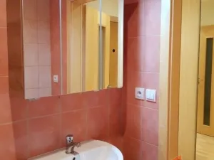 Pronájem bytu 2+1, Hradec Králové, Pod Zámečkem, 55 m2