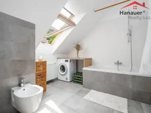 Prodej bytu 3+kk, Ústí nad Labem - Střekov, Karla IV., 157 m2