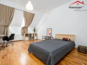 Prodej bytu 3+kk, Ústí nad Labem - Střekov, Karla IV., 157 m2