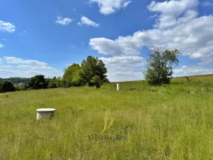 Prodej pozemku pro bydlení, Hlubočky, 44238 m2