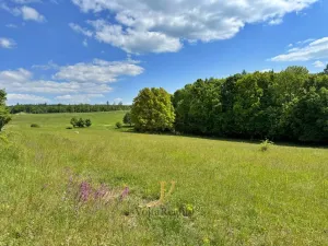 Prodej pozemku pro bydlení, Hlubočky, 44238 m2