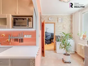Prodej bytu 3+1, Jihlava, Okružní, 62 m2