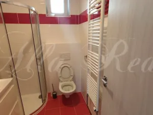 Pronájem bytu 1+kk, Malhostovice, 30 m2