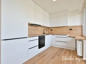 Pronájem bytu 3+kk, Ostrava - Moravská Ostrava, Vítězná, 73 m2