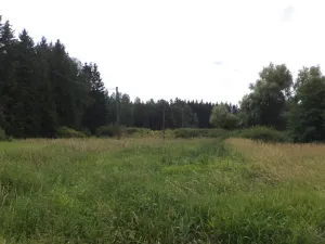 Prodej pole, Chodský Újezd - Nahý Újezdec, 13137 m2