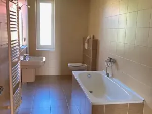 Pronájem bytu 4+kk, Chomutov, Dostojevského, 155 m2