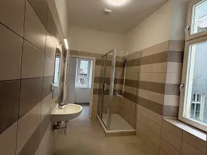 Pronájem bytu 4+1, Brno, Dvořákova, 155 m2