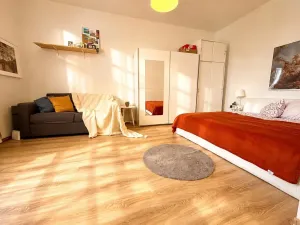 Pronájem bytu 2+kk, Praha - Břevnov, Bělohorská, 38 m2