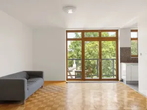 Pronájem bytu 1+kk, Praha - Žižkov, Dalimilova, 50 m2