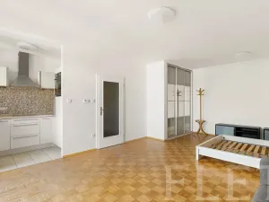 Pronájem bytu 1+kk, Praha - Žižkov, Dalimilova, 50 m2