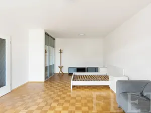 Pronájem bytu 1+kk, Praha - Žižkov, Dalimilova, 50 m2