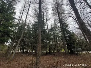 Prodej lesa, Lukavec, 1012 m2