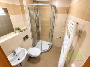 Pronájem bytu 1+kk, Mníšek pod Brdy, Ke škole, 24 m2