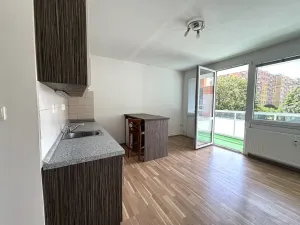 Pronájem bytu 1+kk, Plzeň - Bolevec, Tachovská, 27 m2
