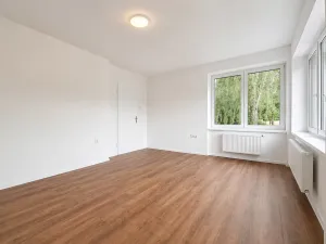 Pronájem bytu 1+1, Prostějov, Riegrova, 43 m2