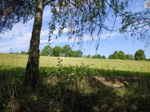 Prodej bytu 3+1, Spálené Poříčí, Lipnická, 69 m2