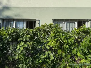 Pronájem bytu 2+1, Praha - Ruzyně, U silnice, 63 m2