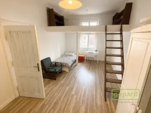Pronájem bytu 2+kk, Praha, Bělehradská, 49 m2