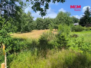 Prodej louky, Nejdek - Bernov, 1479 m2