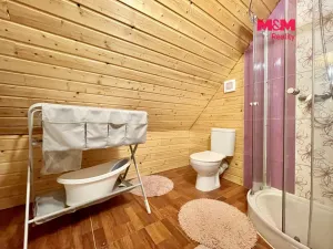 Prodej chalupy, Staré Město - Stříbrnice, 330 m2
