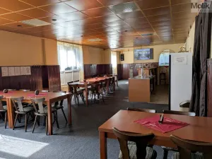 Prodej komerční nemovitosti, Litvínov - Horní Litvínov, Alešova, 506 m2